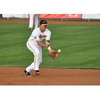 Willmar Stingers field a grounder