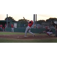 Acadiana Cane Cutters get in a big swing