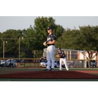 Brazos Valley Bombers prepare to deliver a pitch