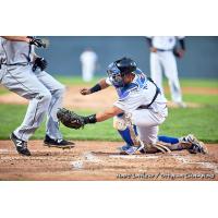 A close play at the plate between the Ottawa Champions and Quebec Capitales