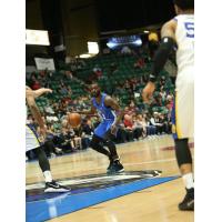 PG Damon Lynn with the Texas Legends