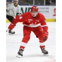 Cullen McLean of the Sault Ste. Marie Greyhounds