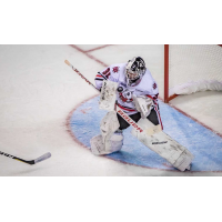 Goaltender Colton Incze with the Niagara IceDogs