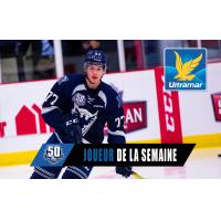 Sherbrooke Phoenix defenseman Yann-Félix Lapointe