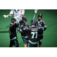Rochester Knighthawks celebrate during their home opener