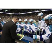 Rochester Knighthawks plan their attack