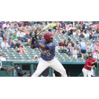 Juremi Profar of the Frisco RoughRiders