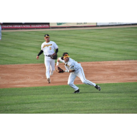 Willmar Stingers in the field