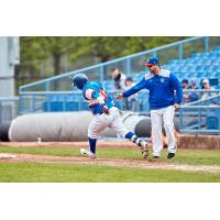 Eduard Pinto of the Ottawa Champions rounds the bases after his home run