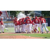Vancouver Canadians celebrate a win
