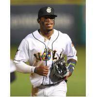 New Orleans Baby Cakes outfielder Monte Harrison