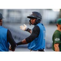 Estevan Florial of the Tampa Tarpons