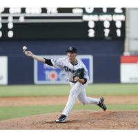 Tampa Tarpons pitcher Trevor Stephan