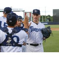 Tampa Tarpons pitcher Trevor Stephan receives high fives from his teammates
