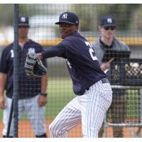 Alexander Vizcaino of the Tampa Tarpons