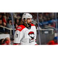 Zack Stortini with the Charlotte Checkers