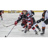 Port Huron Prowlers in action