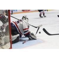 Macon Mayhem goaltender Cody Porter