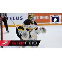 Brandon Wheat Kings goaltender Jiri Patera