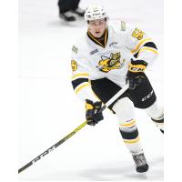 Sarnia Sting defenceman Eric Hjorth