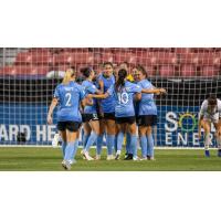 Chicago Red Stars huddle up after a goal