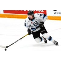 Forward Isaac Johnson with the Winnipeg Ice