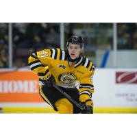 Sarnia Sting forward Sam Bitten