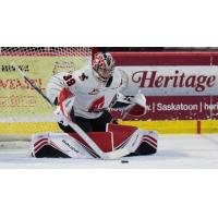 Goaltender Brock Gould with the Moose Jaw Warriors