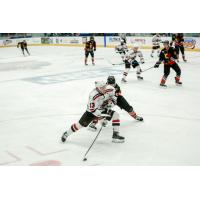 Odessa Jackalopes forward Mike Manzo vs. the New Mexico Ice Wolves