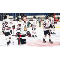 Portland Winterhawks forward Mason Mannek