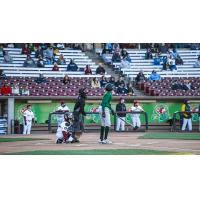 Beloit Snappers at the plate against the Wisconsin Timber Rattlers