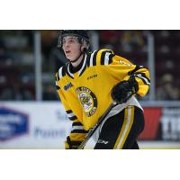 Sarnia Sting defenceman Ryan Mast