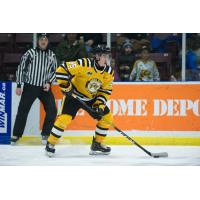 Justin Nolet of the Sarnia Sting