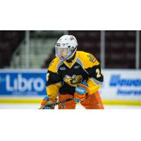 Sarnia Sting forward Nikita Tarasevich