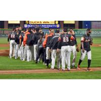 Long Island Ducks line up for high fives after a win