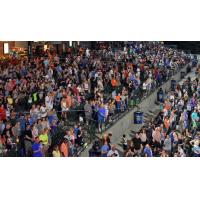 The crowd at Fairfield Properties Ballpark, home of the Long Island Ducks