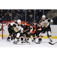 Brandon Wheat Kings battle the Medicine Hat Tigers