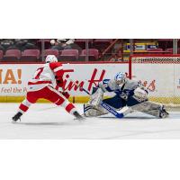 Soo Greyhounds vs. the Sudbury Wolves