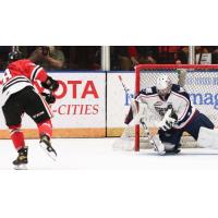 Tri-City Americans goaltender Tomas Suchanek vs. the Portland Winterhawks