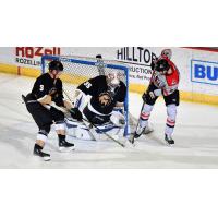 Adirondack Thunder forward Sebastian Vidmar (right) vs. the Newfoundland Growlers