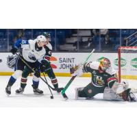 Saint John Sea Dogs left wing Raivis Kristians Ansons scores against the Halifax Mooseheads