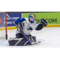 Saint John Sea Dogs goaltender Thomas Couture