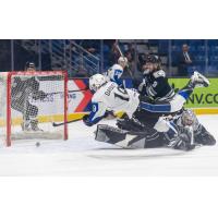 Philippe Daoust of the Saint John Sea Dogs scores the overtime winner against the Gatineau Olympiques