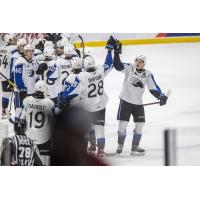 Saint John Sea Dogs exchange high fives after beating the Charlottetown Islanders