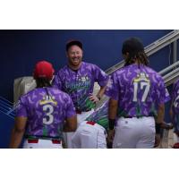 Williamsport Crosscutters in their Aly's Monkey Movement jerseys