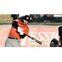 The Long Island Ducks' Dustin Woodcock at bat