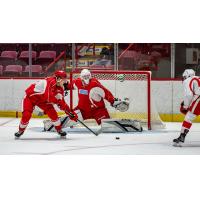 Soo Greyhounds in action