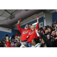 Carolina Thunderbirds fans cheer on the team