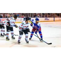 Mississippi Sea Wolves forward Matt Caranci (far right) vs. the Carolina Thunderbirds