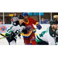 Mississippi Sea Wolves battle the Binghamton Black Bears